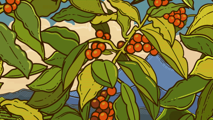 Proudly Fairtrade Certified